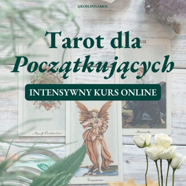 Kurs Online: Tarot dla Pocz膮tkuj膮cych