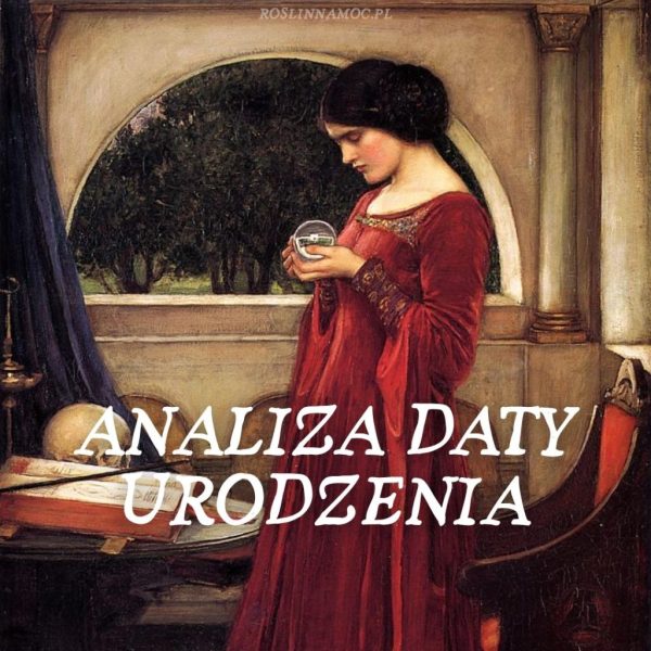Numerologiczna Analiza Daty Urodzenia - kompaktowy wgląd w strukturę osobowości