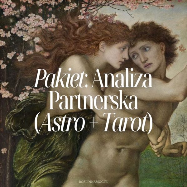 Pakiet: Analiza Partnerska - kompleksowy wgląd w relację romantyczną