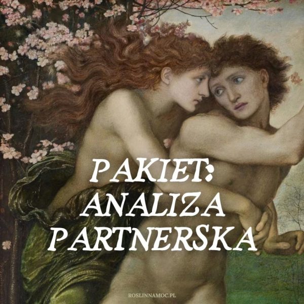 Pakiet: Analiza Partnerska - kompleksowy wgląd w relację romantyczną