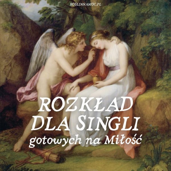 Tarot online: Rozkład dla Singielek i Singli (gotowych na Miłość)