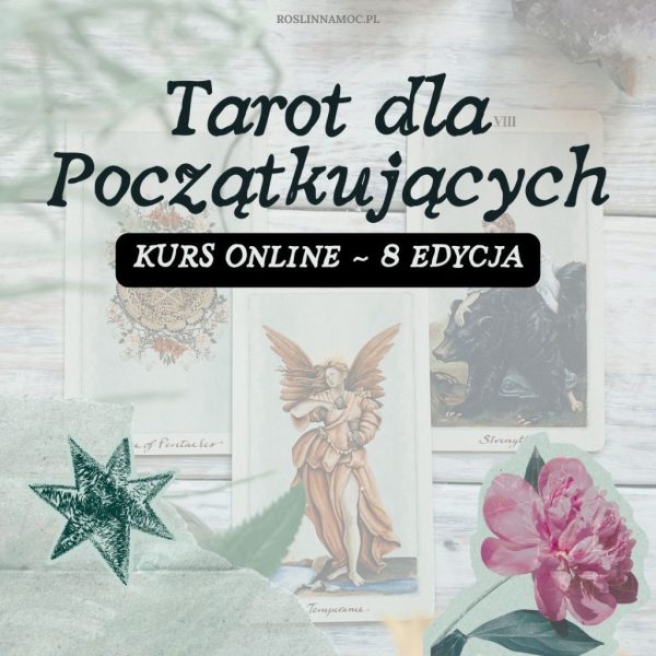 Kurs Online: Tarot dla Początkujących ~ 8 edycja Wiosenna 17.03 ~ [sprzedaż zamknięta]