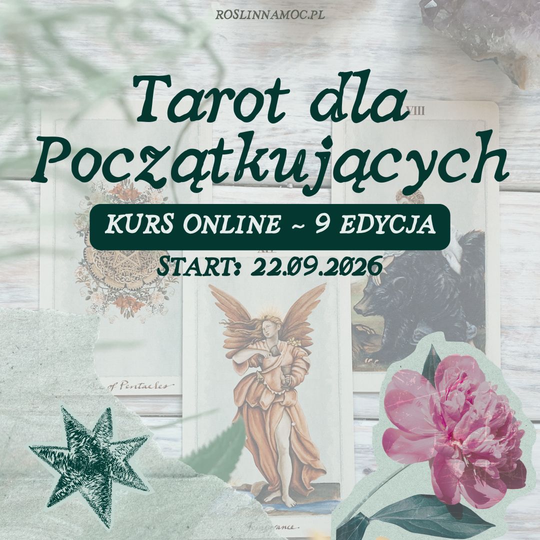 Kurs Online: Tarot dla Początkujących ~ 9 edycja Jesienna 22.09 ~ PRZEDSPRZEDAŻ -15%