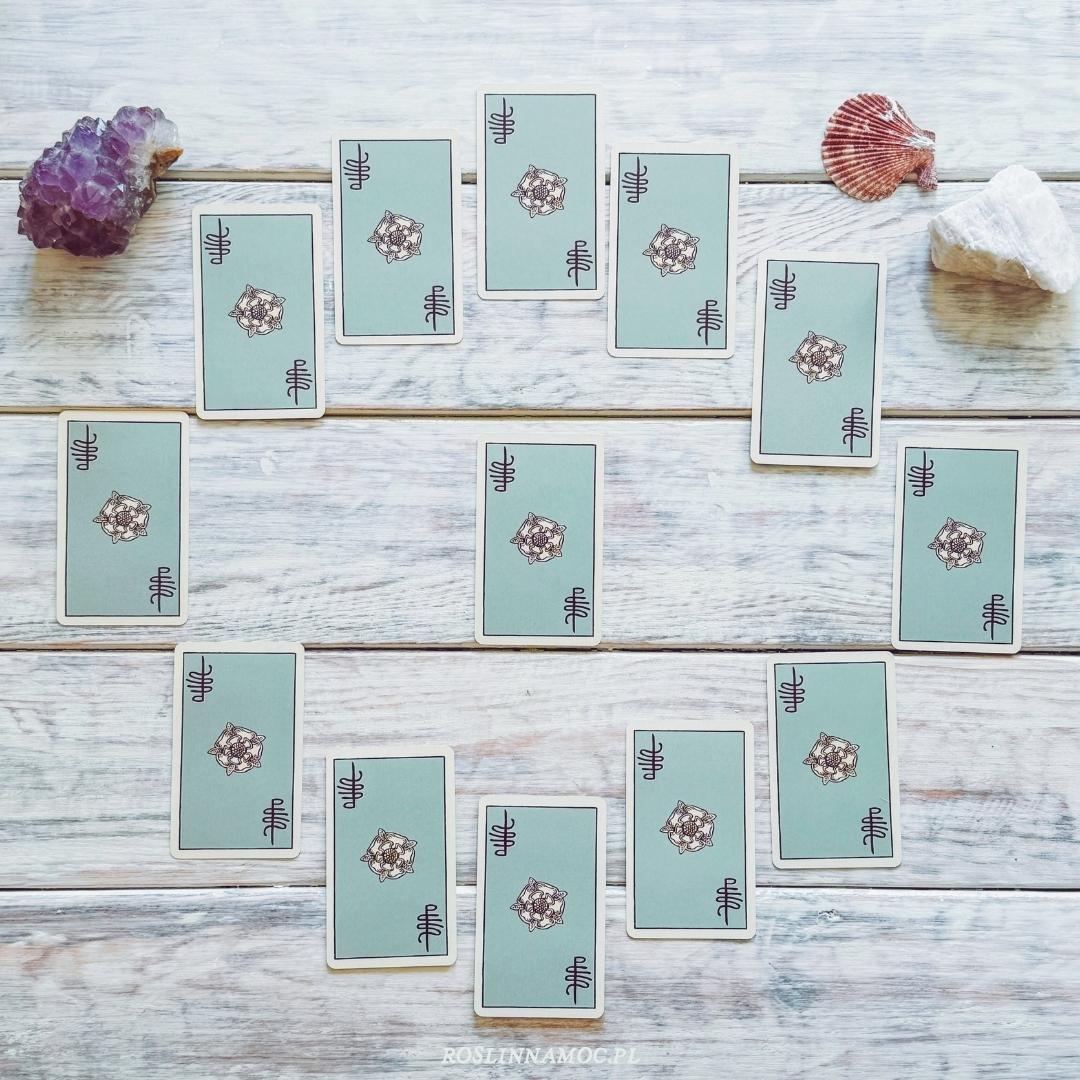 🌑♓️ Nów w Rybach 2026 – sens w jedności