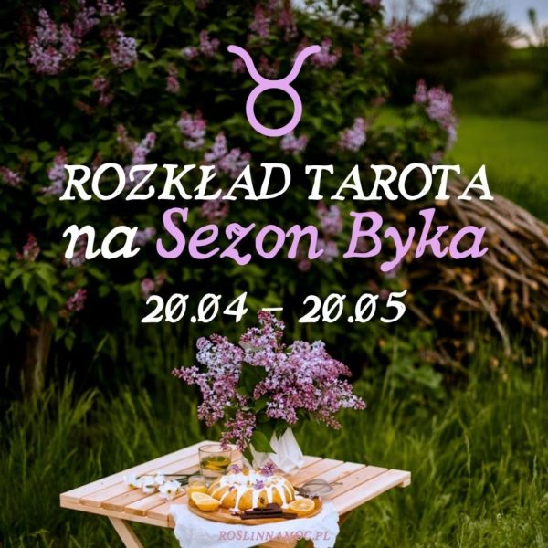 Tarot online: Rozkład na Sezon Byka (20.04-20.05) [limitowany, do 17.04 ]