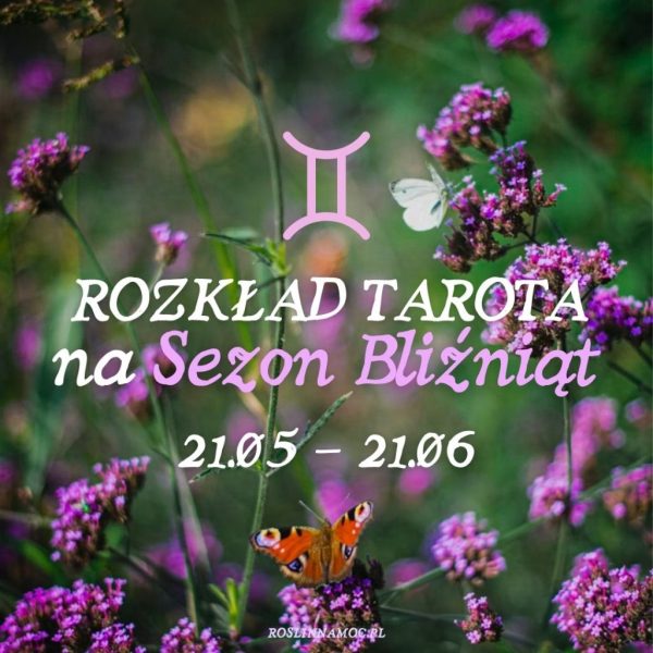 Tarot online: Rozkład na Sezon Bliźniąt (21.05-21.06)