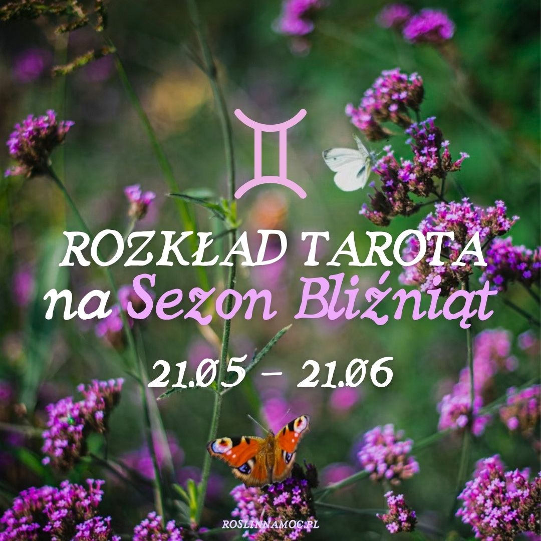 Tarot online: Rozkład na Sezon Bliźniąt (21.05-21.06)