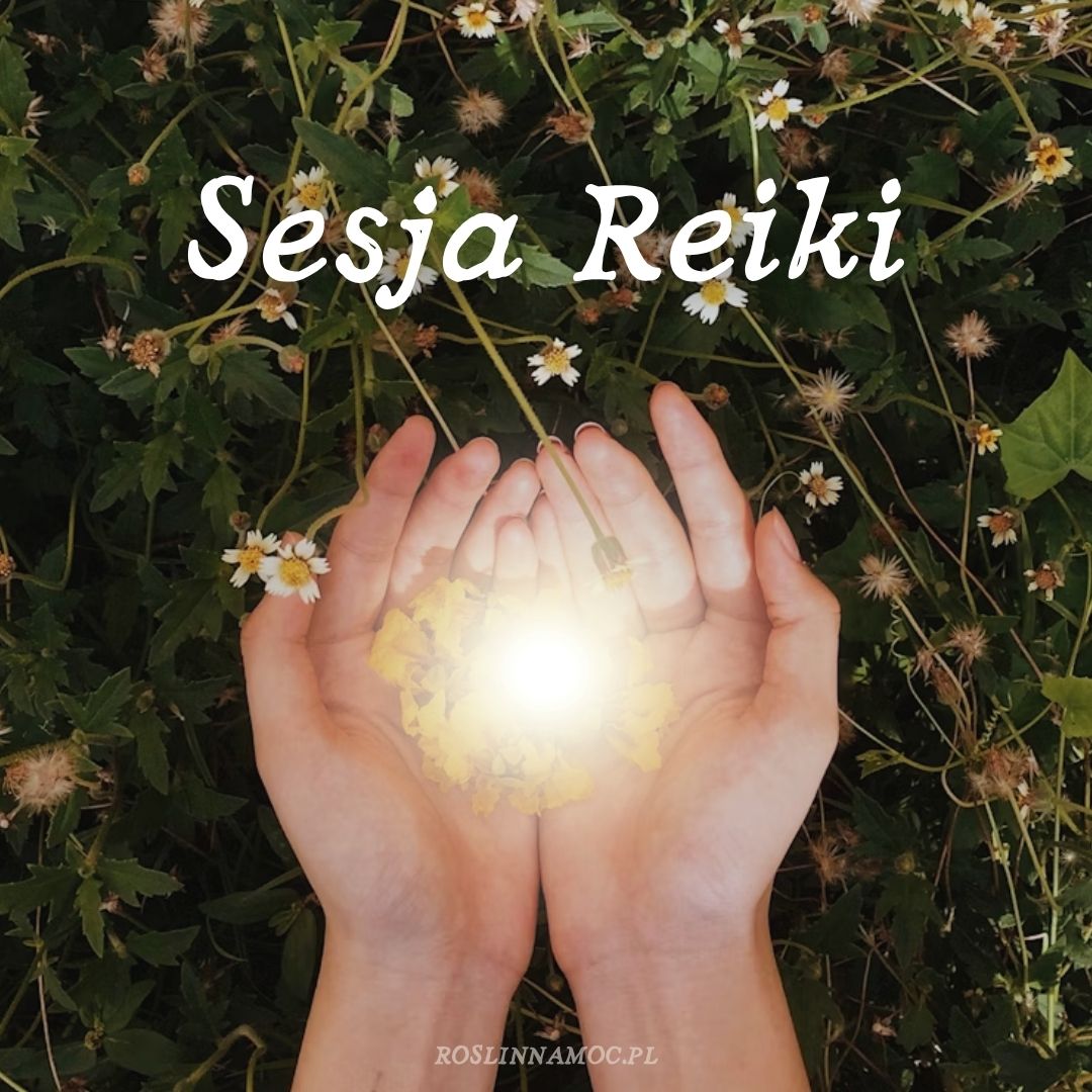 Sesja Reiki 1:1 online - energetyczne wsparcie i ukojenie