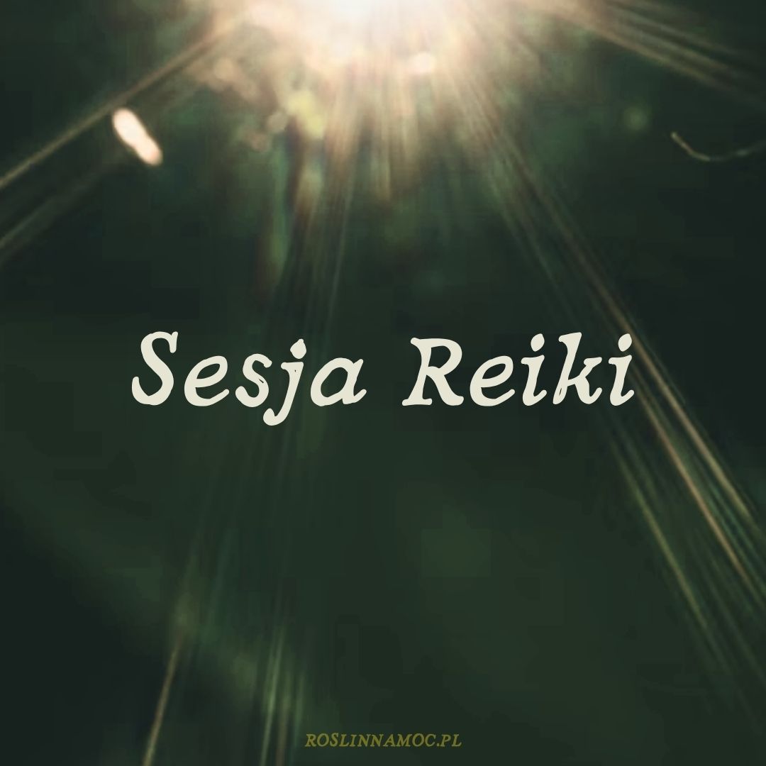 Sesja Reiki 1:1 online - energetyczne wsparcie i ukojenie