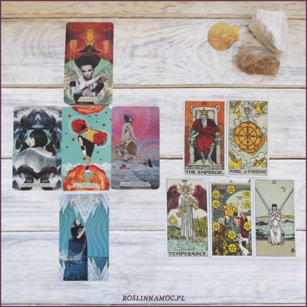 Tarot online: Rozkład na Sezon Lwa (22.07-28.08)