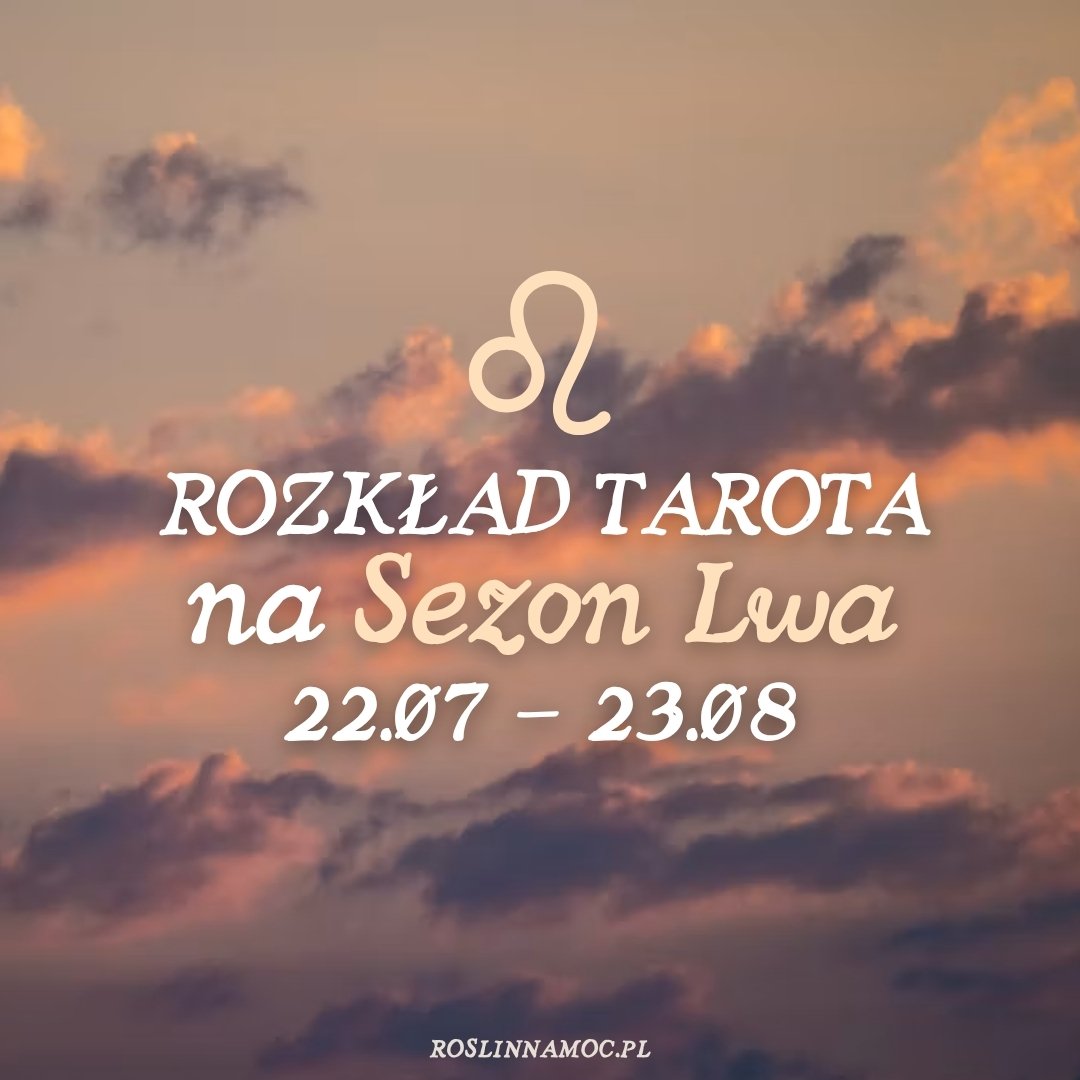 Tarot online: Rozkład na Sezon Lwa (22.07-28.08)