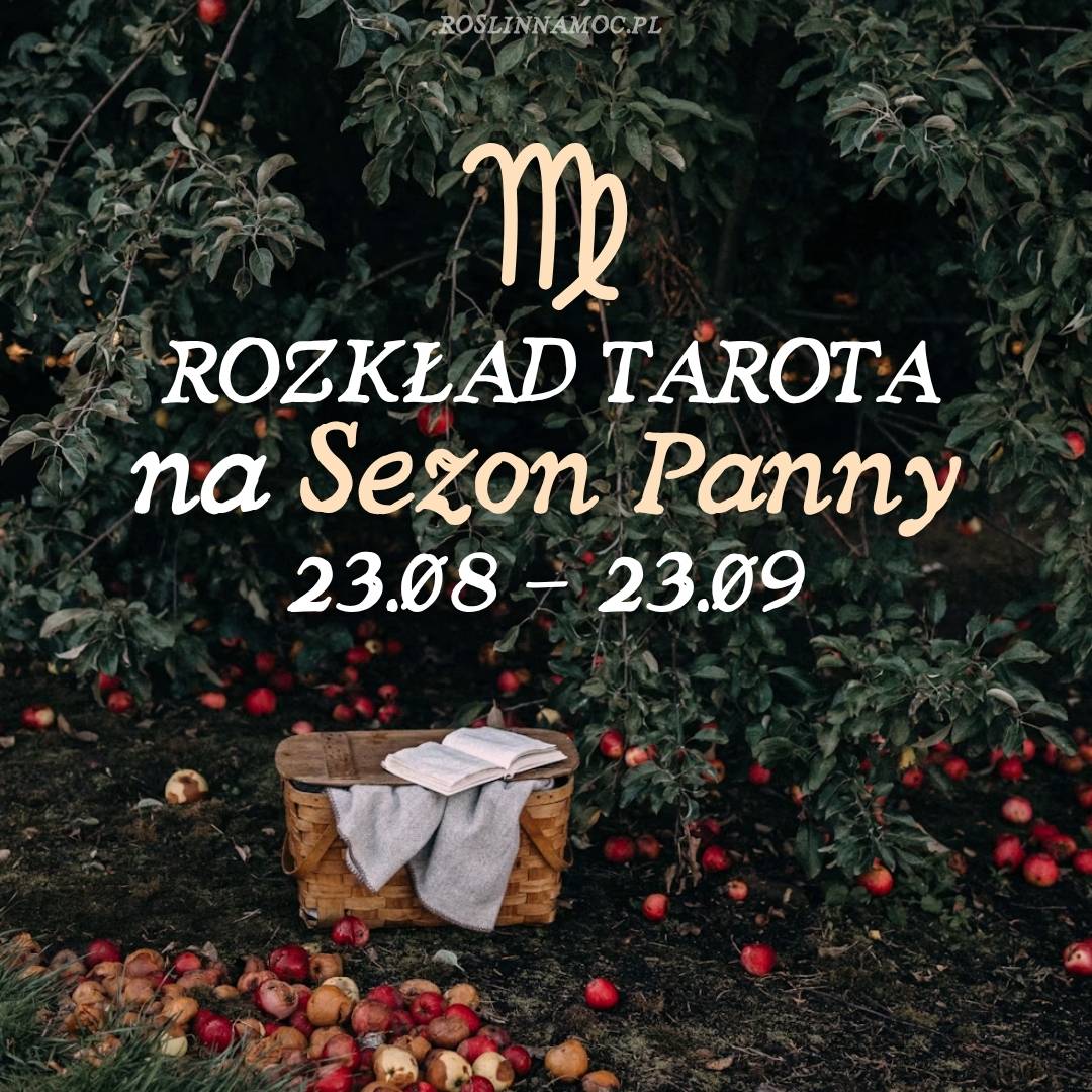 Tarot online: Rozkład na Sezon Panny (23.08 - 23.09)