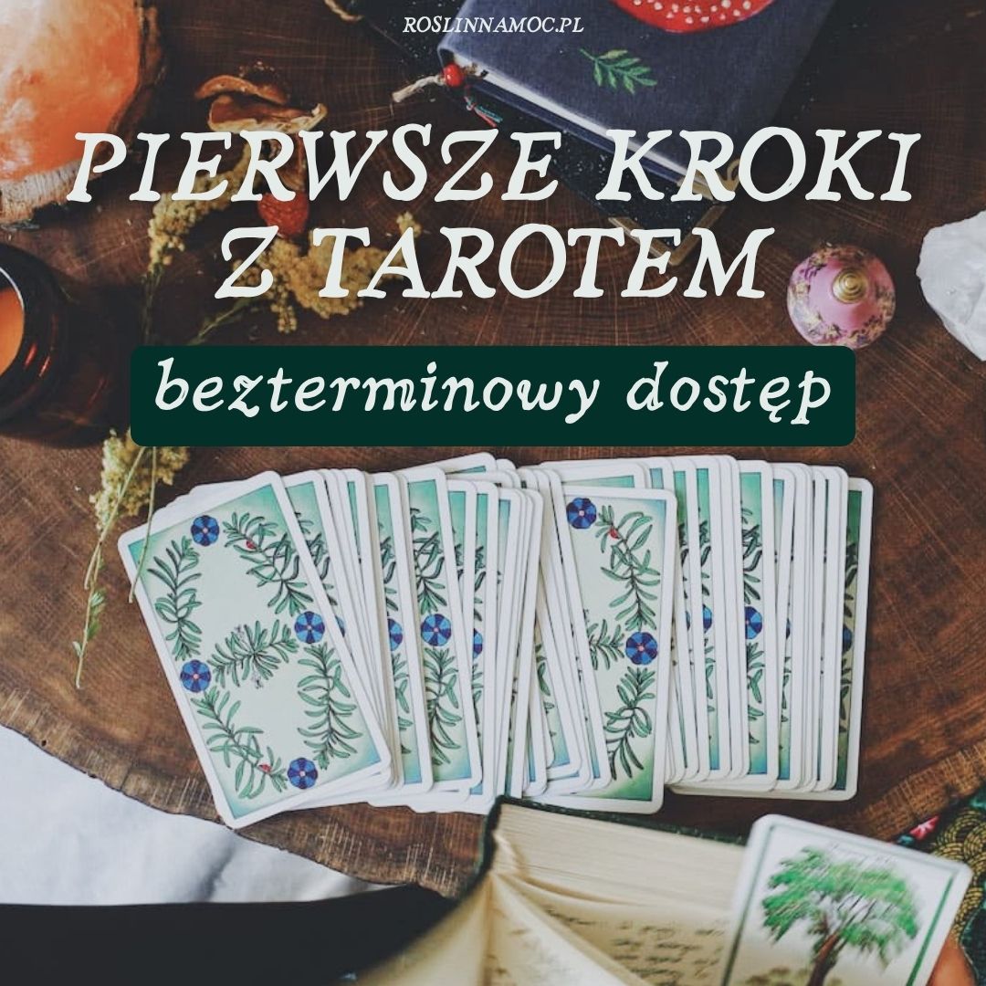 Minikurs online: Pierwsze Kroki z Tarotem - bezterminowy dostęp [przedsprzedaż do 31.08]