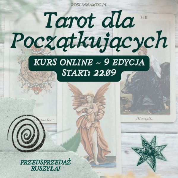 Kurs Online: Tarot dla Początkujących ~ 9 edycja Jesienna 22.09 ~ PRZEDSPRZEDAŻ -10%