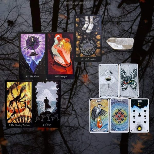 Tarot online: Rozkład na Sezon Skorpiona (23.10 - 22.11)[limitowany]