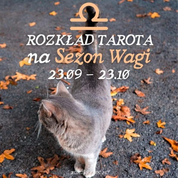 Tarot online: Rozkład na Sezon Wagi (23.09 - 23.10)