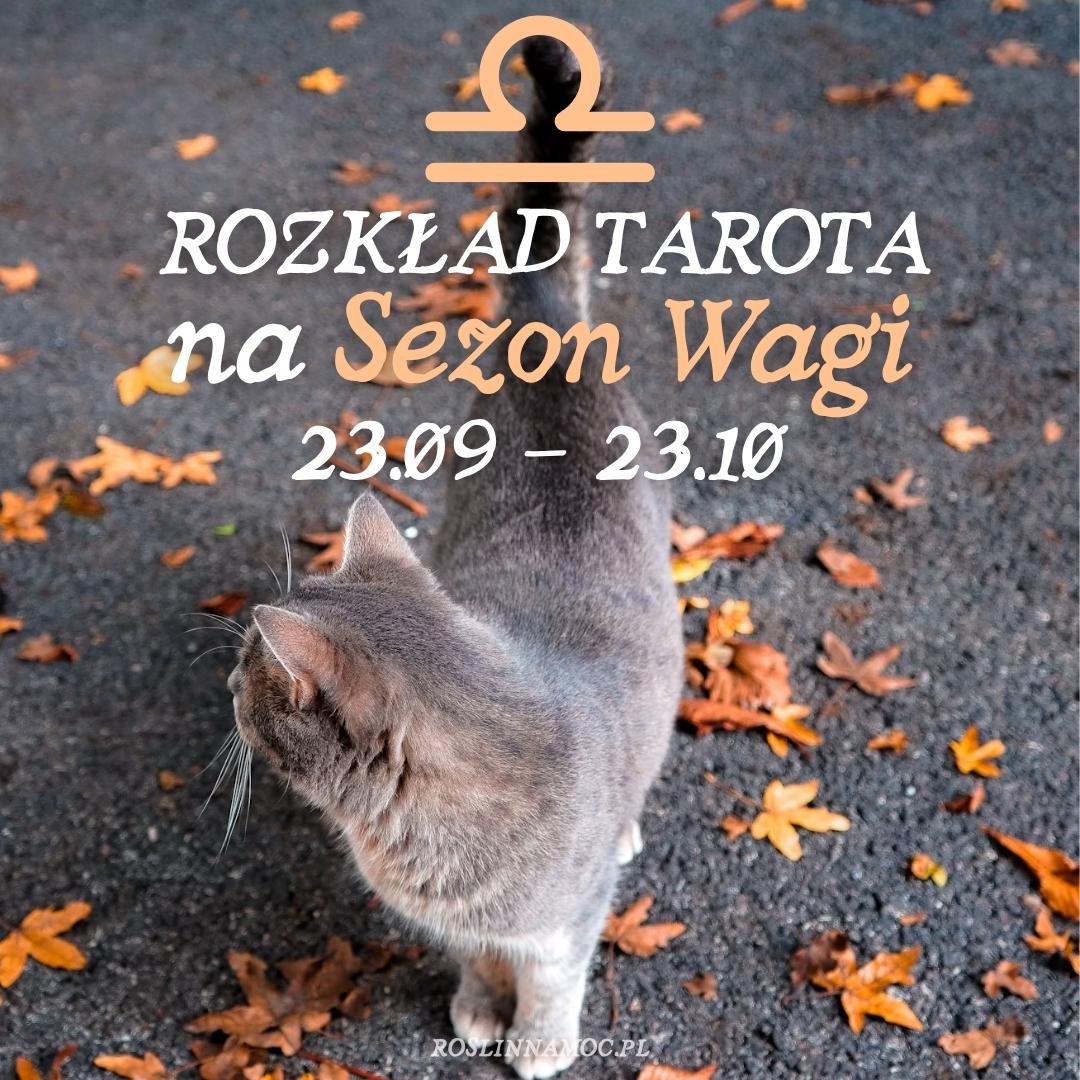 Tarot online: Rozkład na Sezon Wagi (23.09 - 23.10) [zapisy do 27.09]