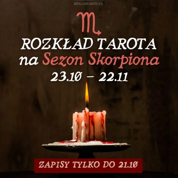 Tarot online: Rozkład na Sezon Skorpiona (23.10 - 22.11)[limitowany]